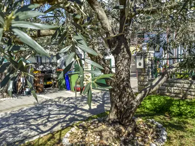 Ferienwohnung für 4 Personen (70 m²) in Biograd Na Moru 3/10