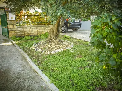 Ferienwohnung für 4 Personen (70 m²) in Biograd Na Moru 7/10