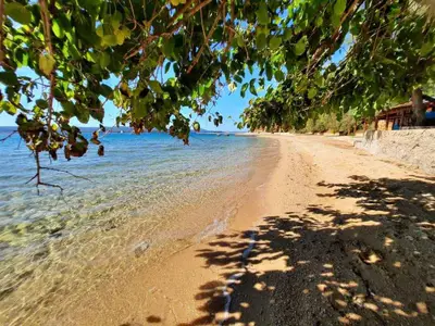 Ferienwohnung für 4 Personen (40 m²) in Biograd Na Moru 10/10