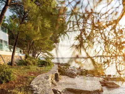 Ferienwohnung für 6 Personen (100 m²) in Biograd Na Moru 3/10