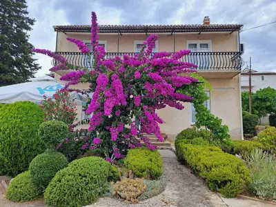 Ferienwohnung für 5 Personen (85 m²) in Biograd Na Moru 8/10