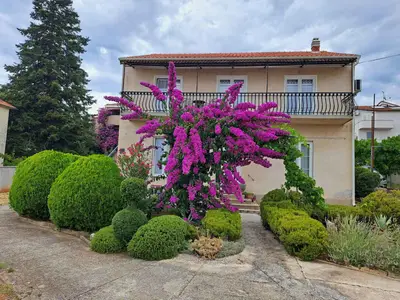 Ferienwohnung für 5 Personen (85 m²) in Biograd Na Moru 9/10