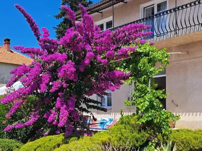 Ferienwohnung für 5 Personen (85 m²) in Biograd Na Moru 10/10