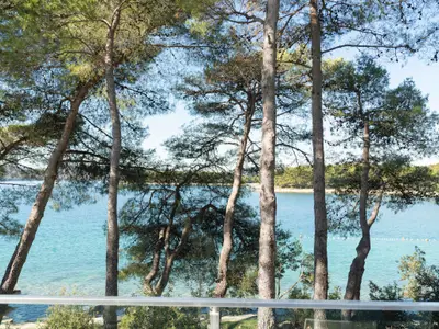 Ferienwohnung für 6 Personen (100 m²) in Biograd Na Moru 2/10