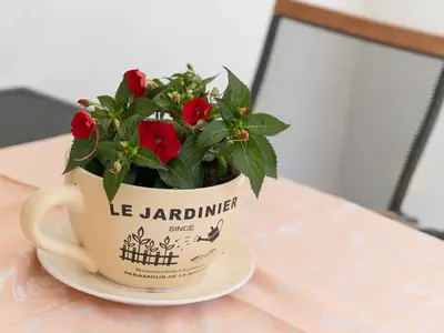 Ferienwohnung für 5 Personen (50 m²) in Biograd Na Moru 6/10