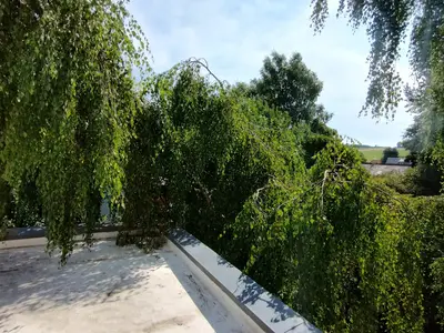 Ferienwohnung für 4 Personen (82 m²) in Birgel 8/10