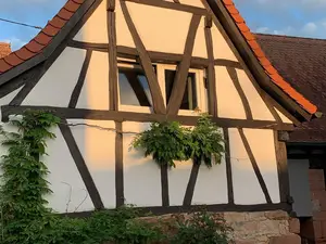 Ferienwohnung für 4 Personen (65 m²) in Birkweiler