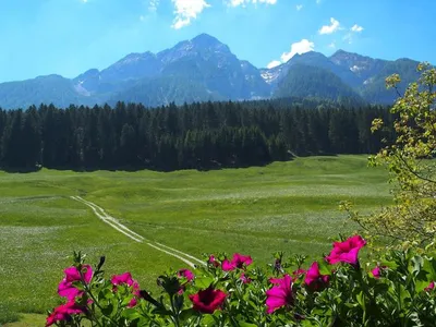 Ferienwohnung für 5 Personen (65 m²) in Birnbaum im Lesachtal 3/10