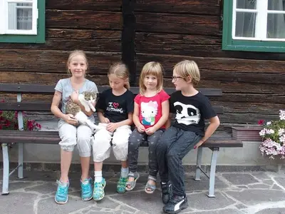 Ferienwohnung für 5 Personen (65 m²) in Birnbaum im Lesachtal 9/10