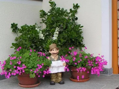 Ferienwohnung für 5 Personen (65 m²) in Birnbaum im Lesachtal 6/10