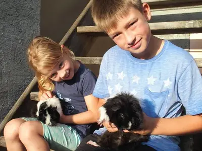 Ferienwohnung für 5 Personen (65 m²) in Birnbaum im Lesachtal 8/10