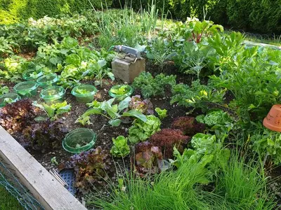 Ferienwohnung für 5 Personen (65 m²) in Birnbaum im Lesachtal 9/10