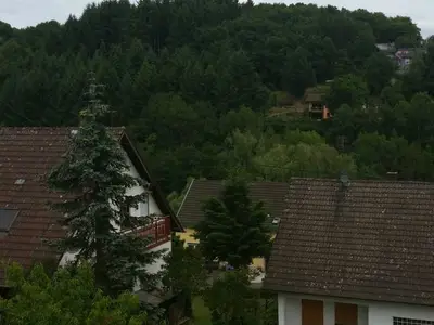 Ferienwohnung für 5 Personen in Birresborn 3/10