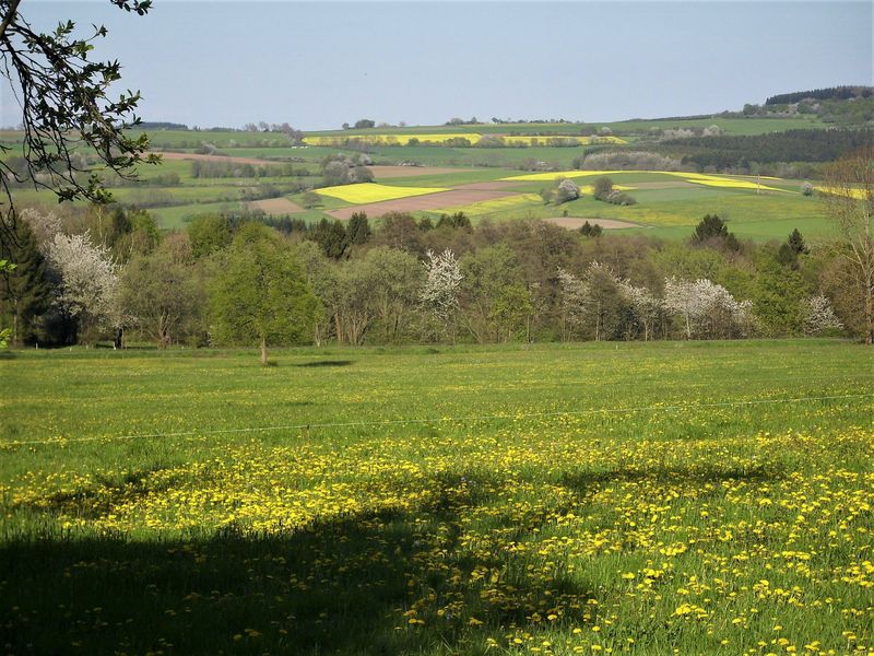 21644061-Ferienwohnung-3-Birstein-800x600-2