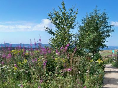 Hohe Rhön