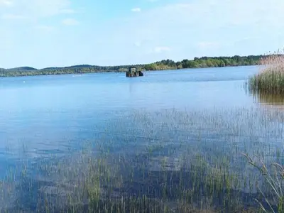 AreaSummer1KM