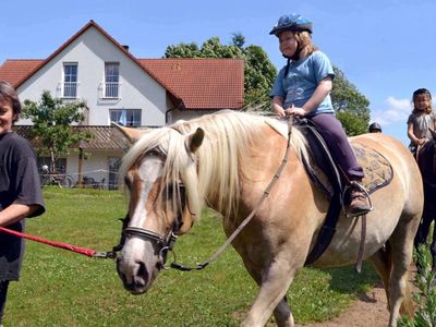 Urlaub für die ganze Familie