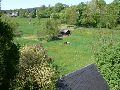 Blick vom Balkon 1. Stock