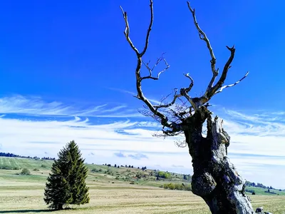 Hochrhön