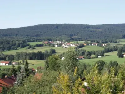 Ferienwohnung für 4 Personen (56 m²) in Bischofsmais 4/10