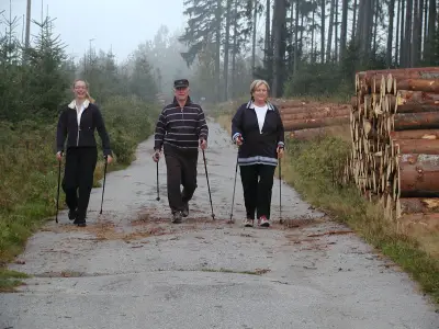 nordic walking