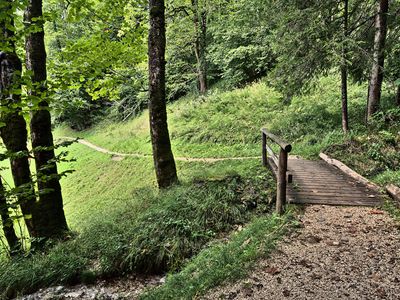 Natur hinter dem Haus