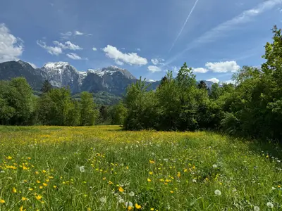 Umgebung