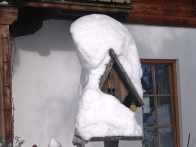 Vogelhäuschen im Schnee