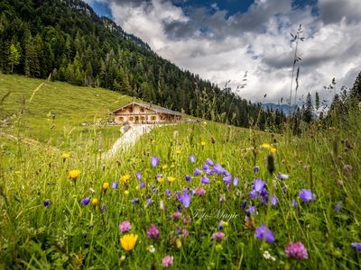 Unsere Alm