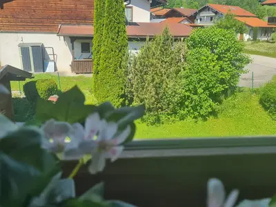 Gartenblick