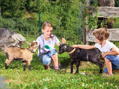 Tiere zum anfassen