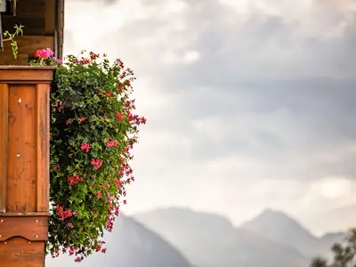 Blumen