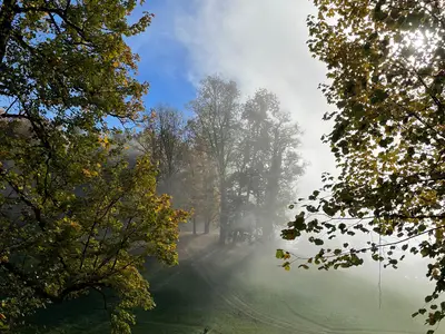 Rund um den Kälberstein Ausblick