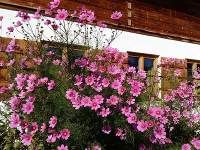 unser Garten