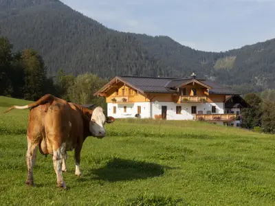 Haus mit Milchkuh