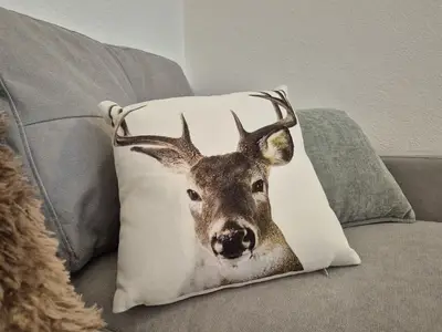 Wohnbereich mit gemütlichem Sofa Fewo Alpennest