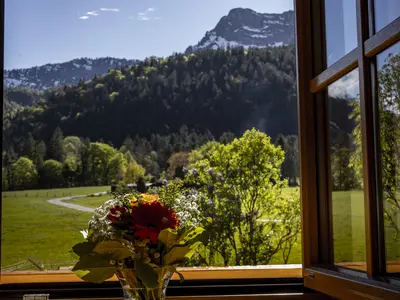 Blick aus dem Fenster