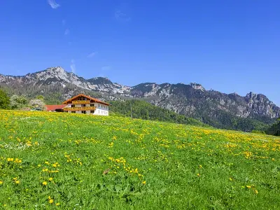 Roislerlehen inmitten grüner Wiesen