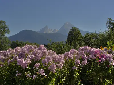 Watzmannblick