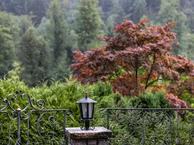 Blick in die Natur