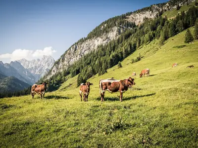 Landschaft