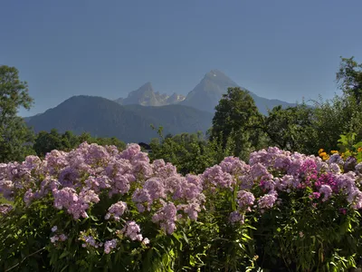 Watzmannblick