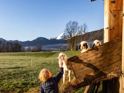 Erste Streicheleinheiten am Morgen