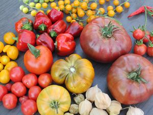 Im Herbst gebe ich gerne Gemüse und Obst ab!