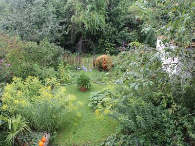 Sommerlicher Blick vom Balkon