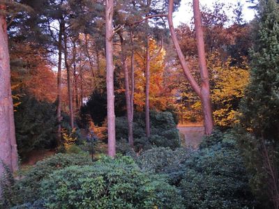 Blick aus dem Küchenfenster - Herbst