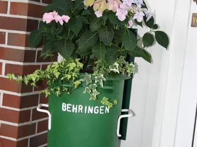 Blumen
