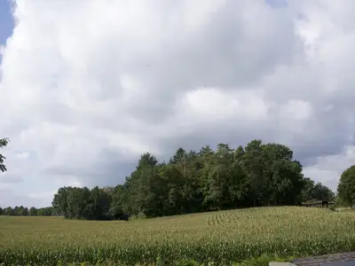 Ausblick vom Balkon