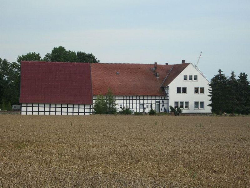 18269330-Ferienwohnung-4-Bissendorf-800x600-0