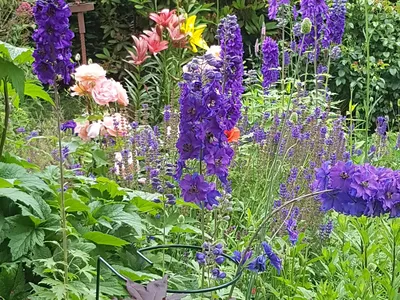 Gartenimpressionen